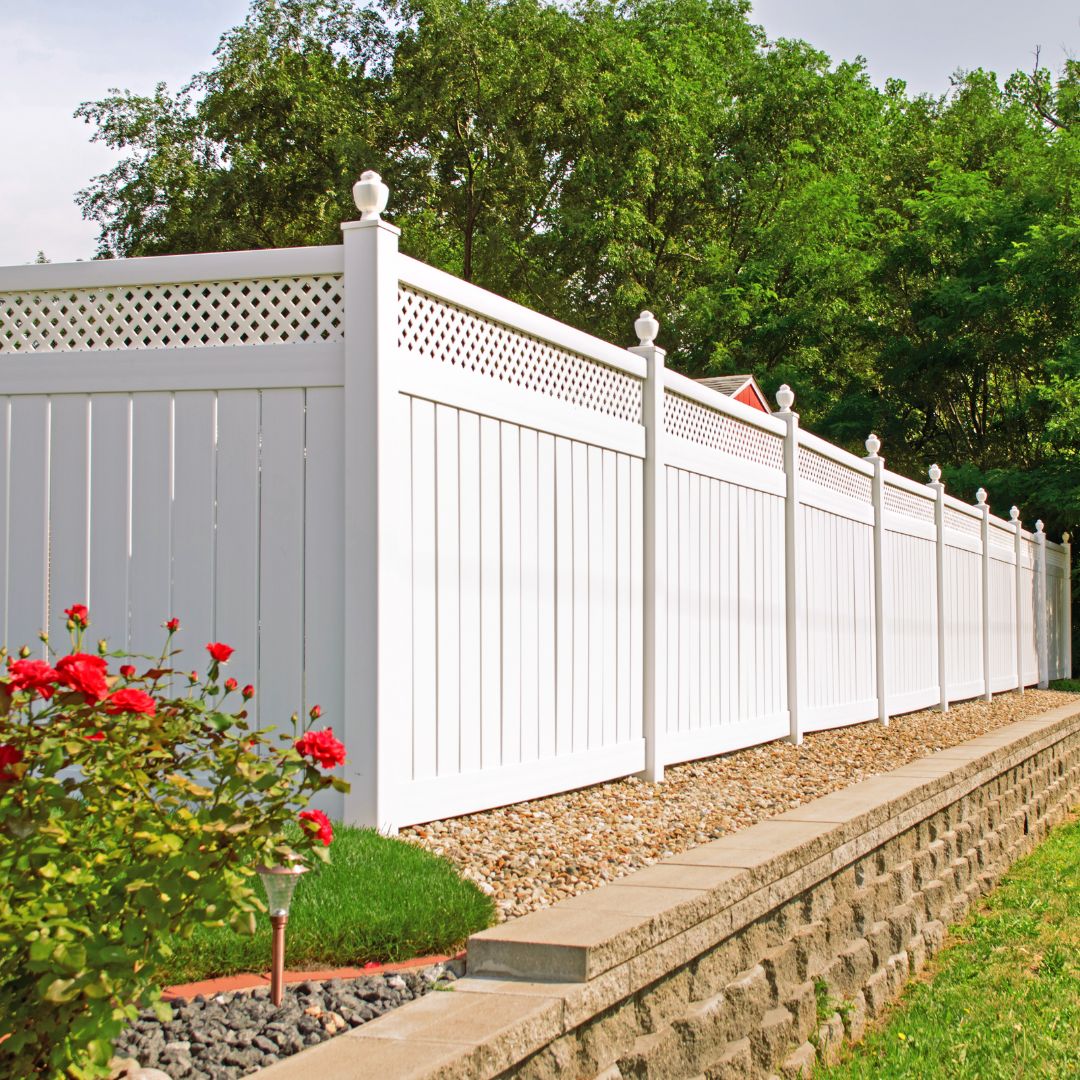 White vinyl fence with lattice top and red roses in landscaped garden