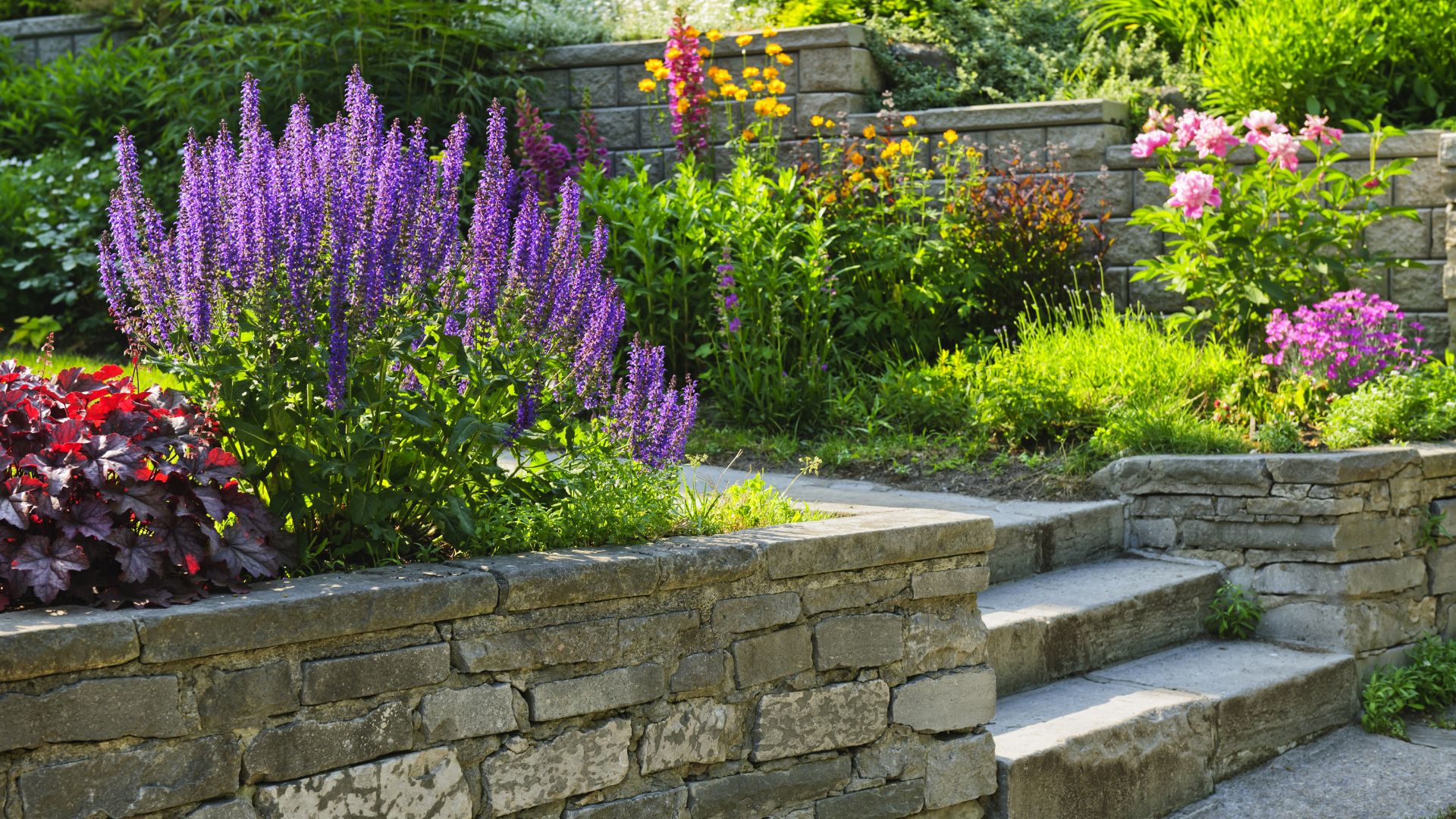 Colorful garden with purple lavender, stone walls, and stone steps